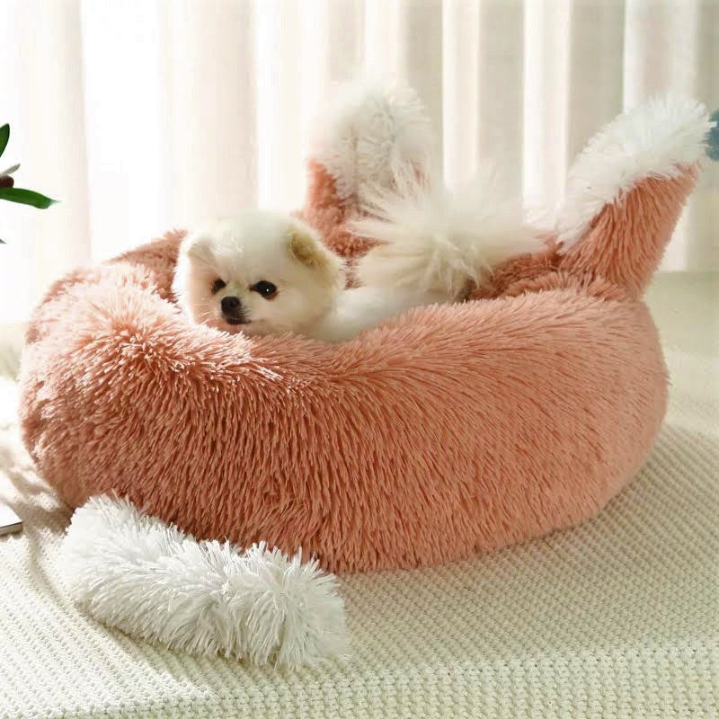 Carriers, Covers & Beds