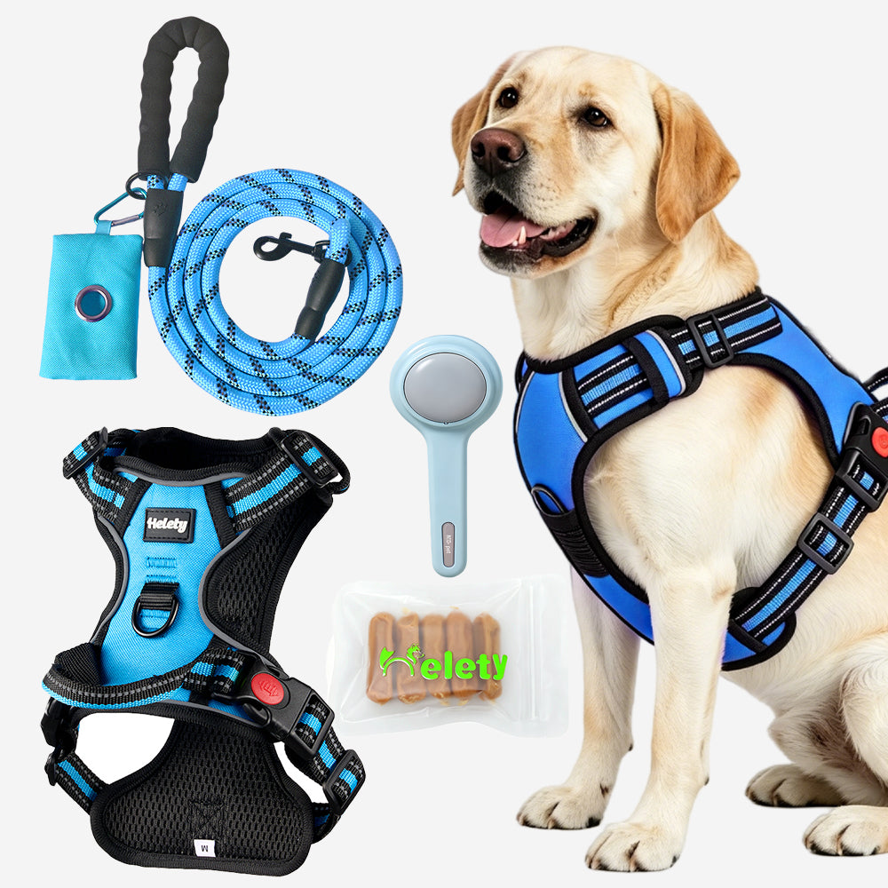 HELETY Dog Walking Gift Set – No Pull Harness + Leash + Grooming Brush + Dog Treats