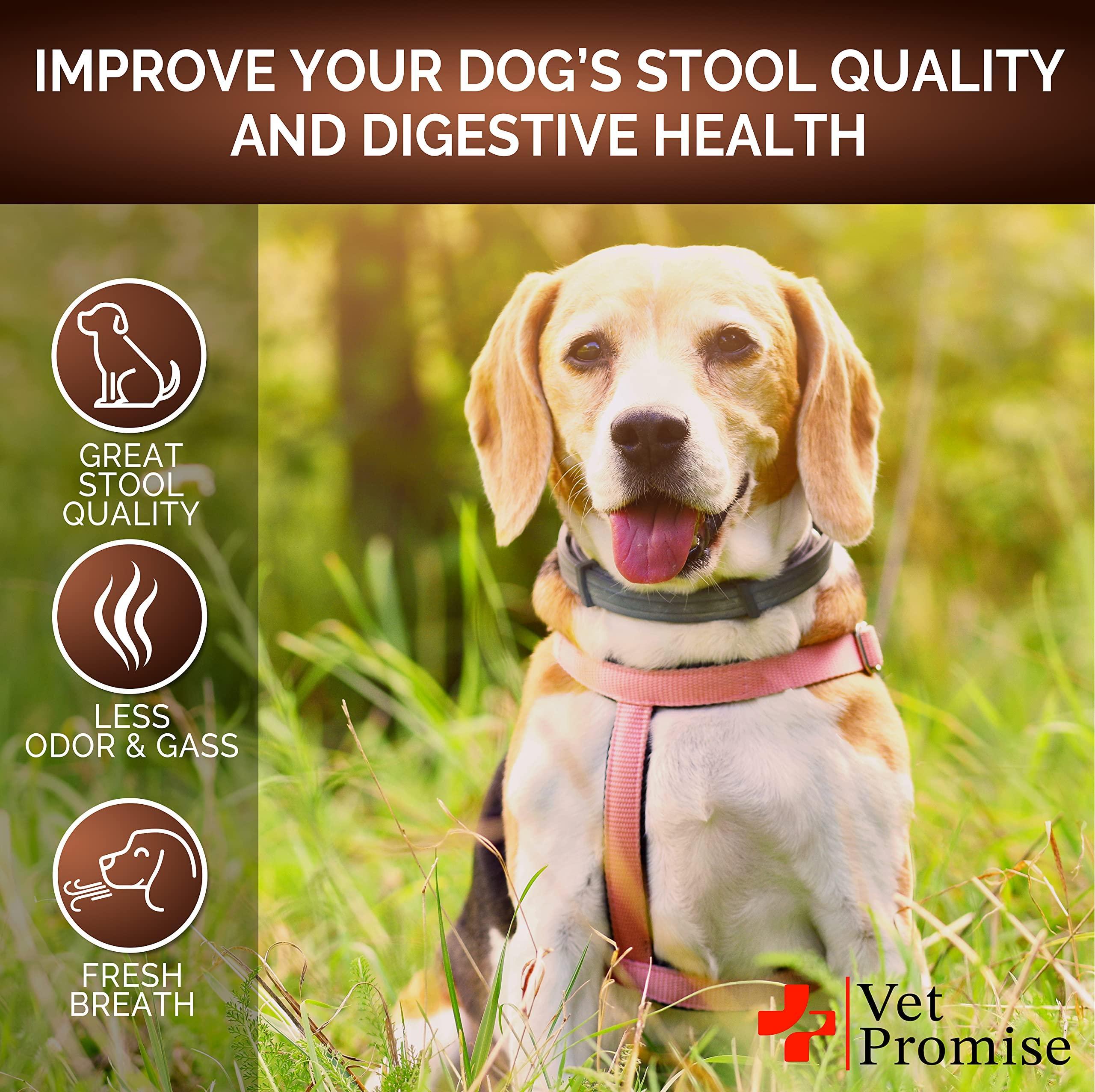 Great Poop Dog Stool Solidifier - Probiotics + Fiber + Enzymes