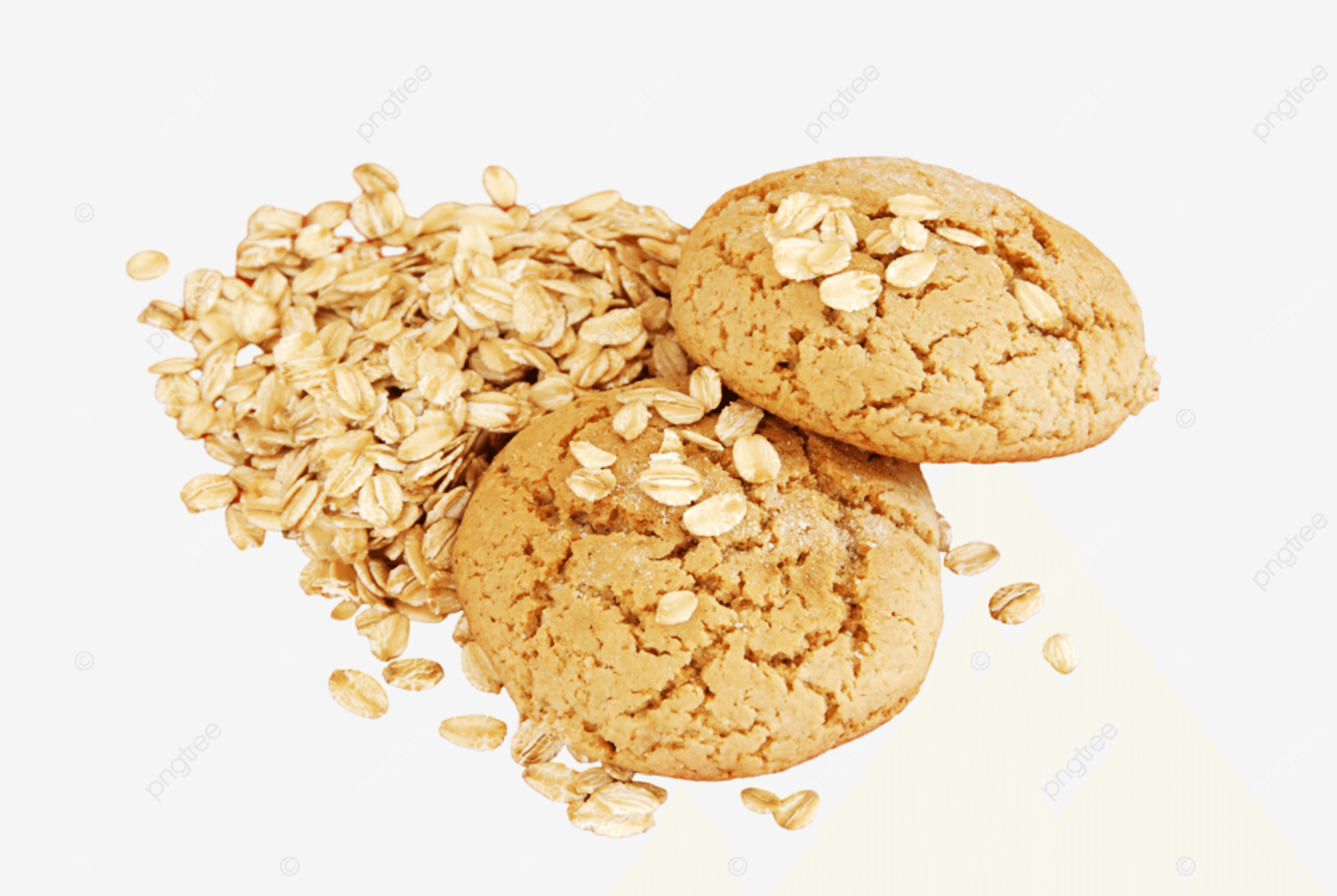 Pupums Human-Grade Vegan Crispy Oatmeal Chip Dog Treats