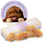 Dog Macarons - Box of 6