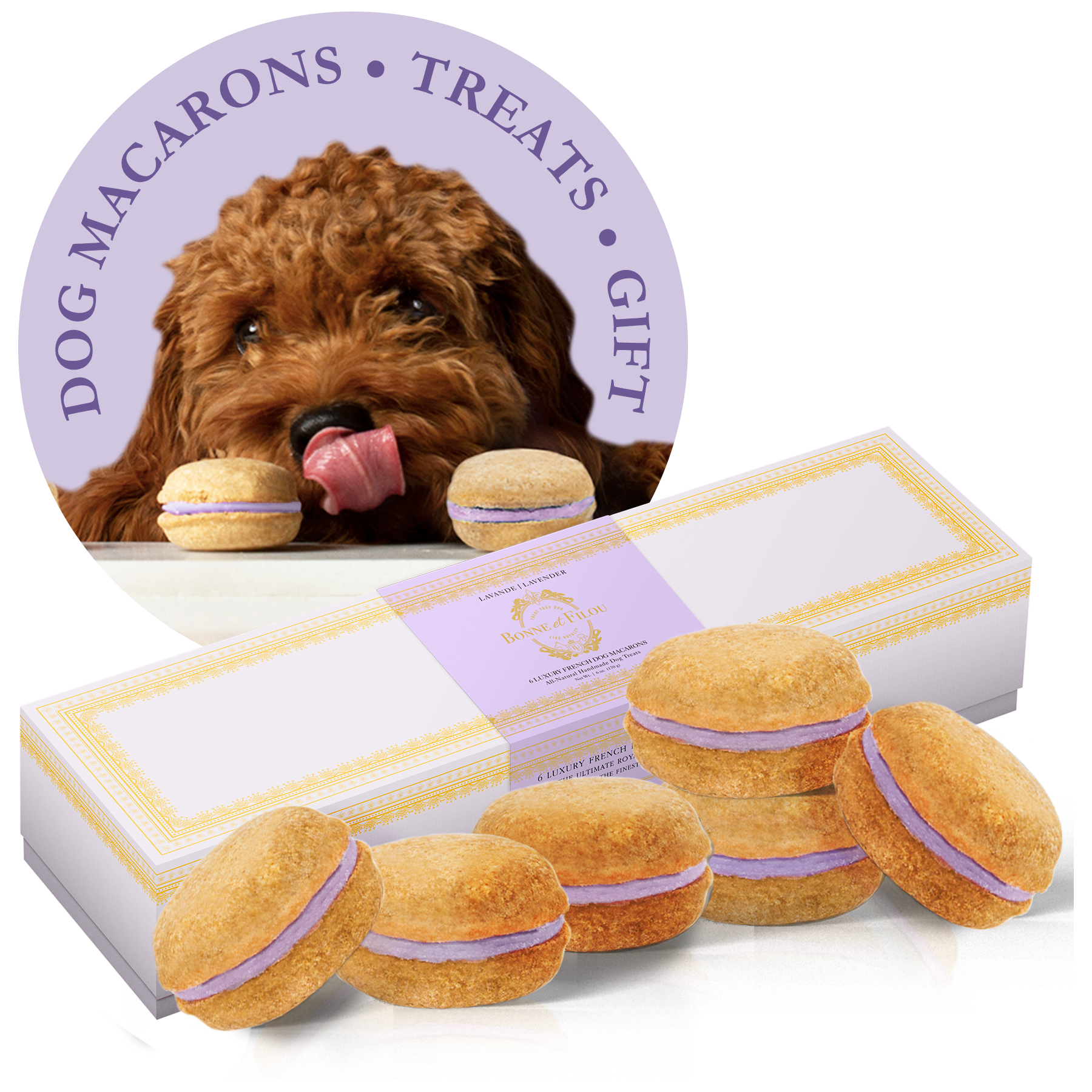Dog Macarons - Box of 6