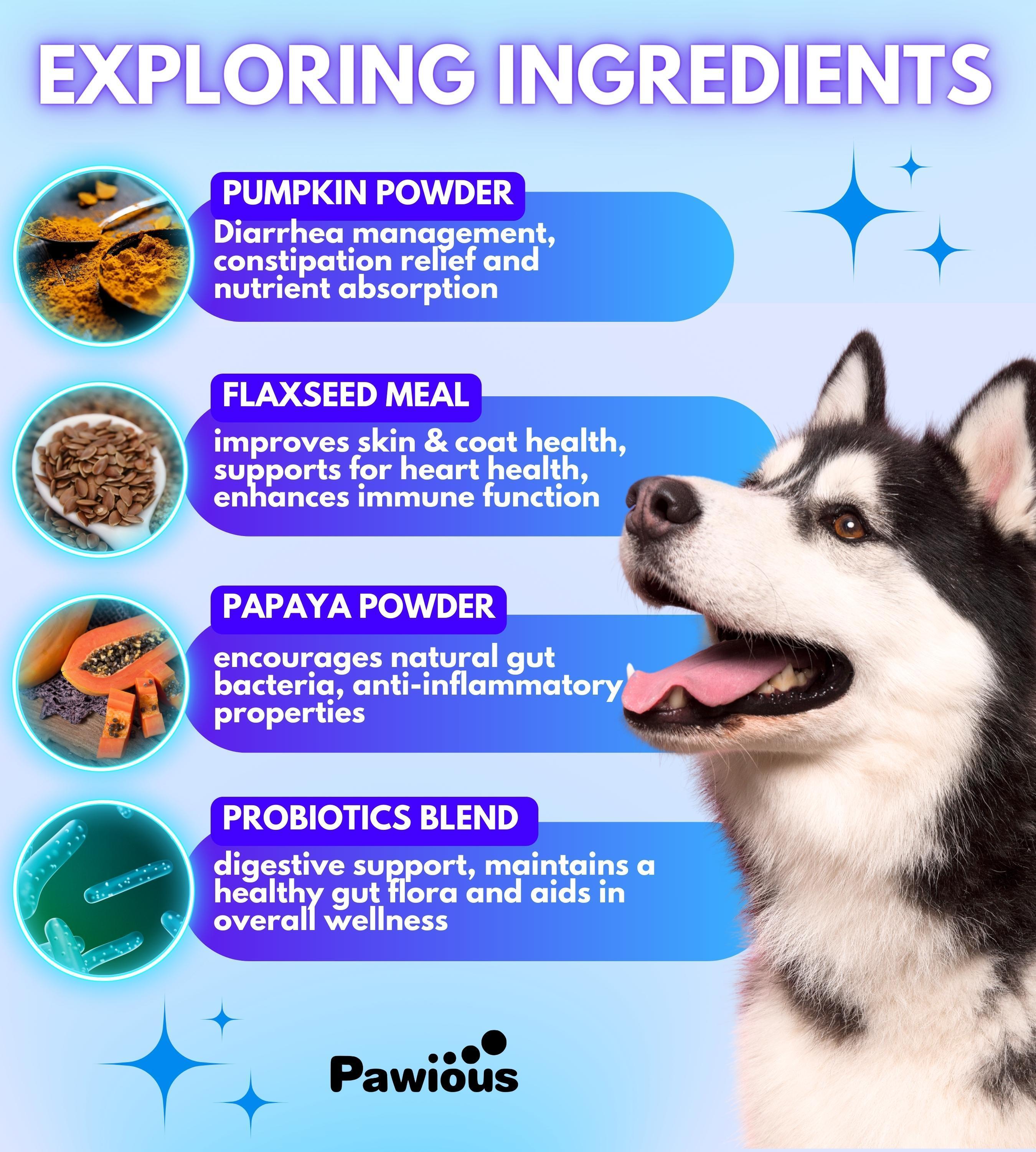 Probiotics for Dogs   Digestive Enzymes Gut Flora Digestive Health