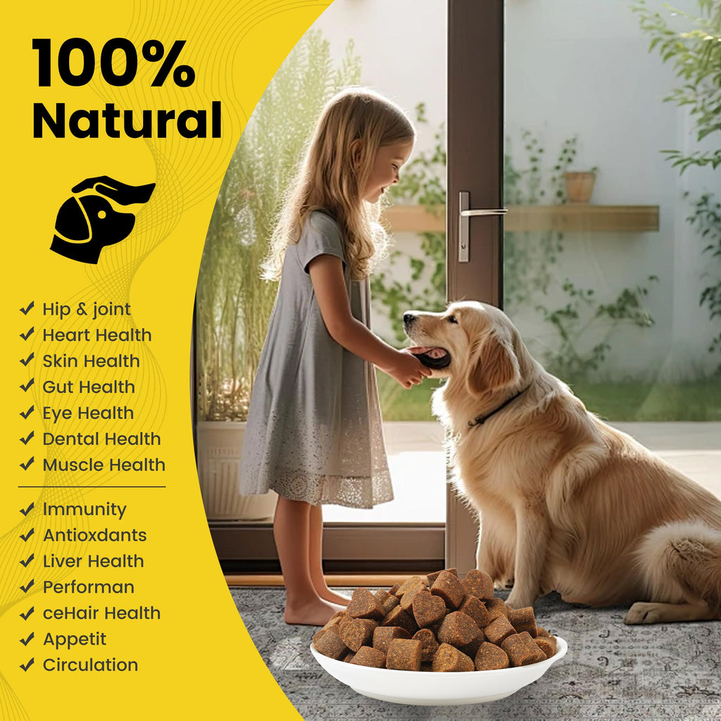 Helety Pet 14-in-1 Multivitamin 120 Soft Chews for Dogs