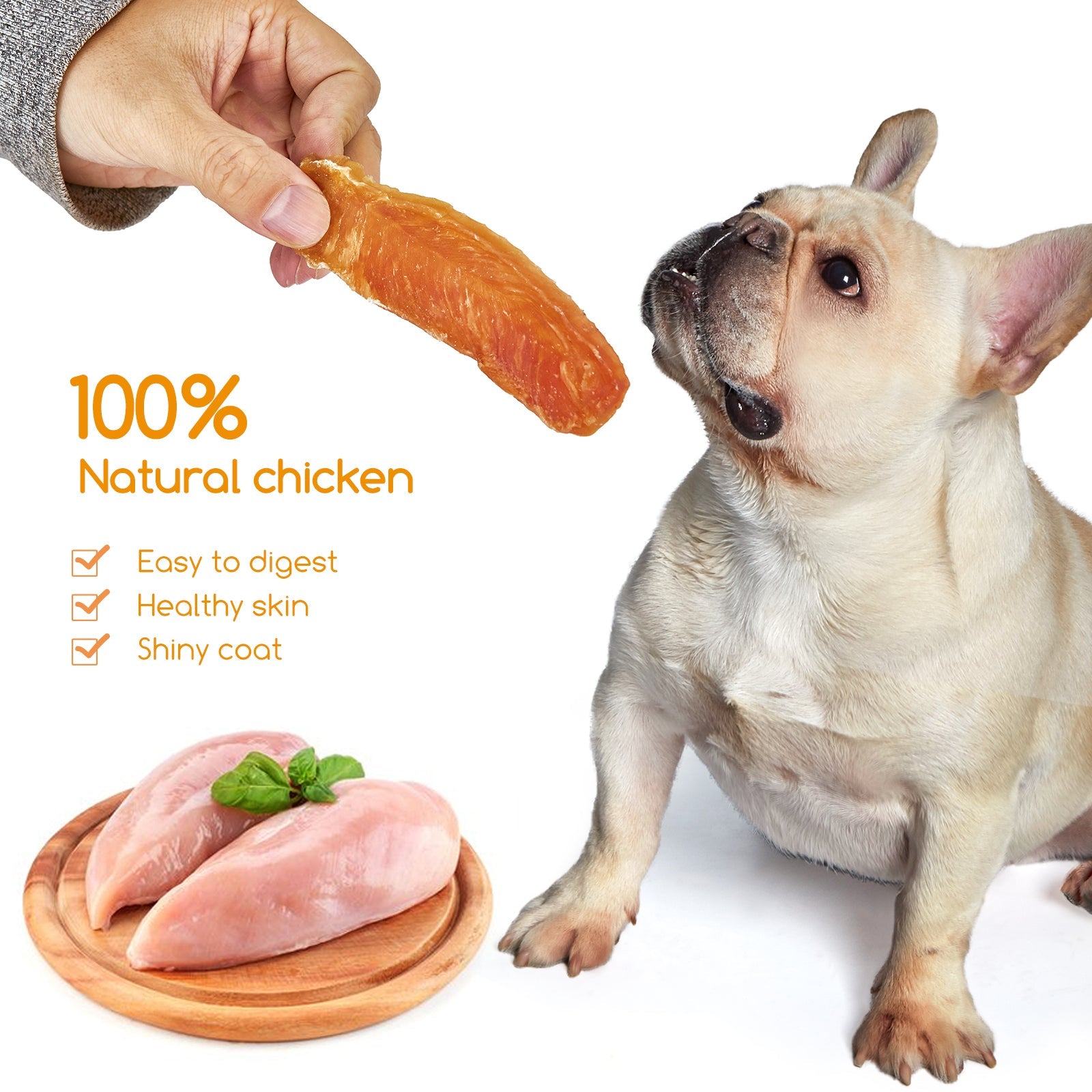 Dog Treats Chicken Jerky Training Treats, Slow Roasted Snacks for Medium and Large Dogs Chewy Treats 10.6 Ounce (Chicken Fillet)