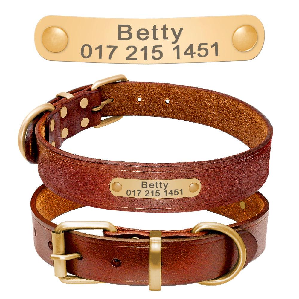Personalized Genuine Leather Dog Collar With Stainless Steel Nameplate