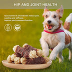 Beef Tendons for Dogs, Duck Wrapped Tendons Dog Chews Long Lasting Hip and Joint Supplement for Dogs with Glucosamine (Knotted Bone)