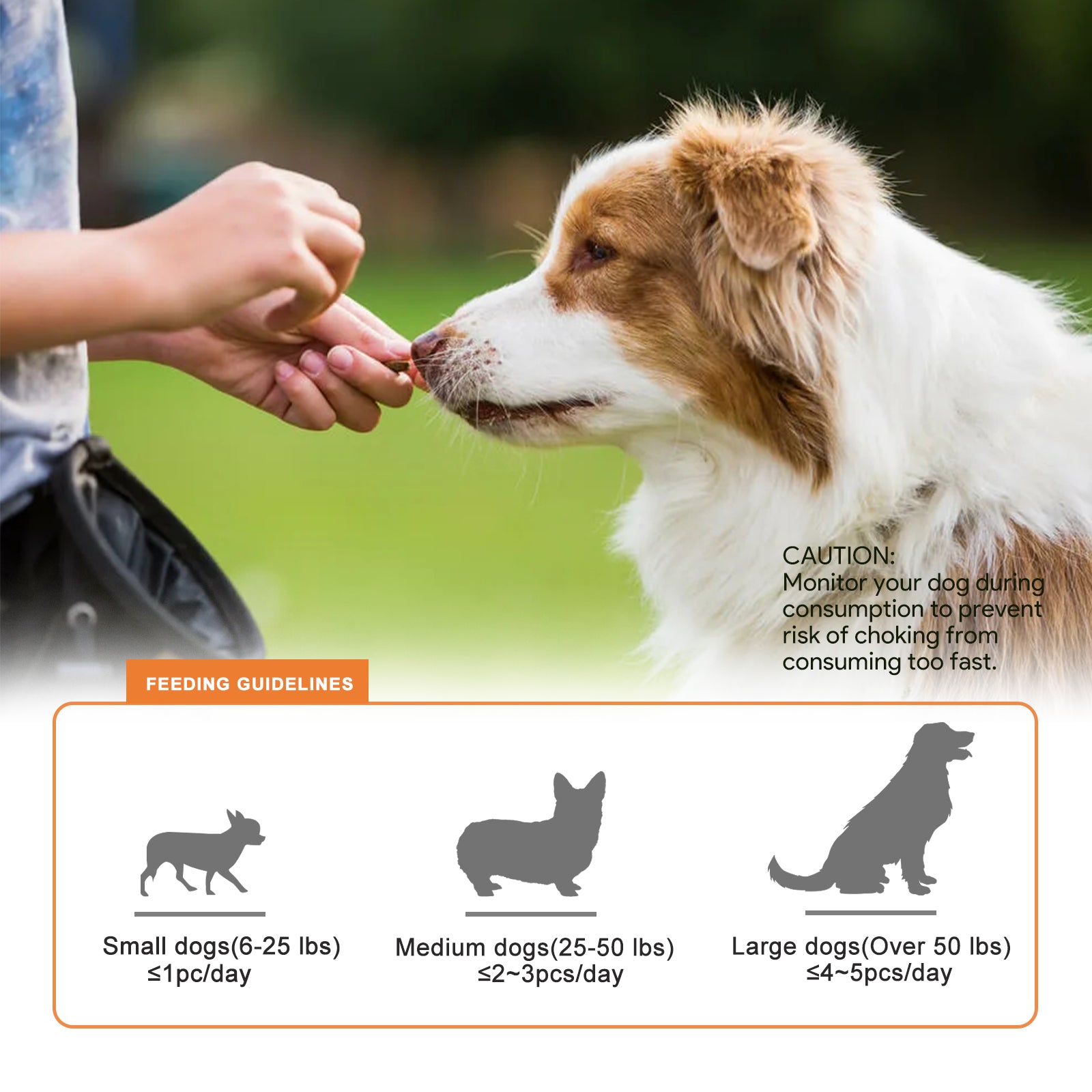 Dog Treats, Chicken Wrapped Rawhide Sticks for Dog, Small Dogs Training Treats for Aggressive Chewers, 2 Pound (Pack of 3)