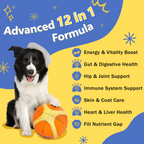 Dog 12-in-1 Multivitamin with Glucosamine 220mg, Probiotics 5B CFUs & Digestive Enzymes, 120 Freeze-Dried Chews