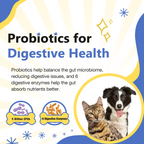 Dog 12-in-1 Multivitamin with Glucosamine 220mg, Probiotics 5B CFUs & Digestive Enzymes, 120 Freeze-Dried Chews