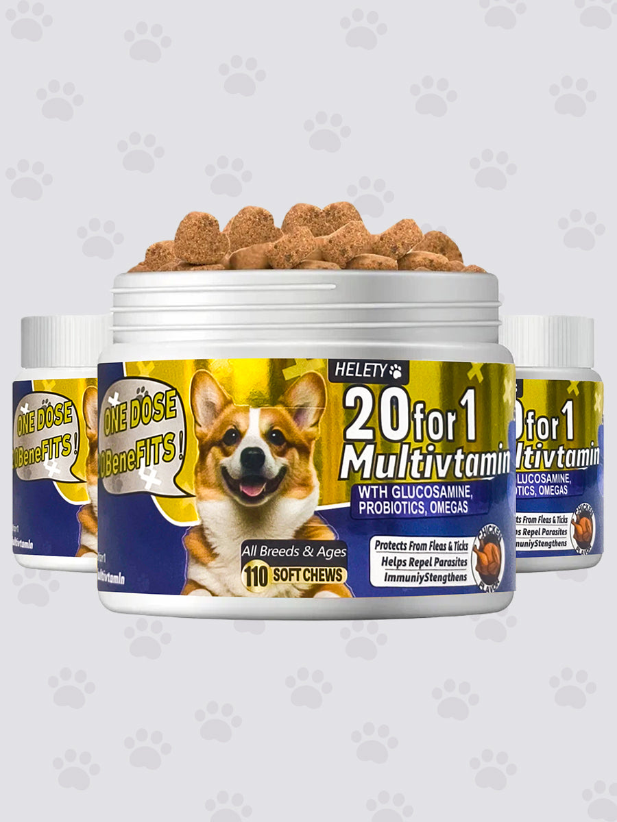 Helety 20 for 1 Dog Multivitamin with Box, Probiotics & Digestive Enzymes for Gut Health, Glucosamine & Chondroitin &Omega 3, Complete Supplement for Homemade Dog Food,Joint & Skin & Immune Support