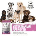 Tender Pork Thins - Premium All-Natural Dog Treats