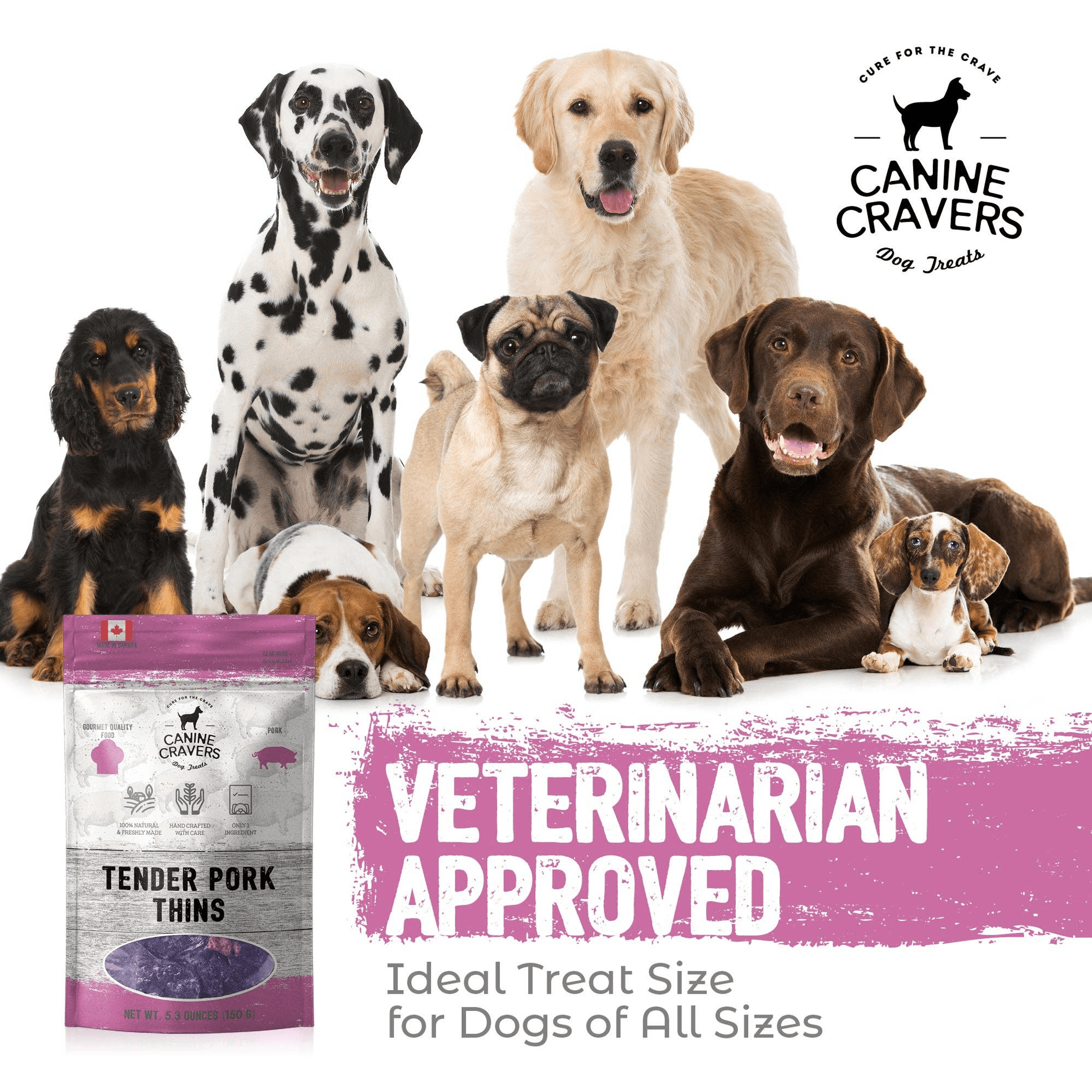 Tender Pork Thins - Premium All-Natural Dog Treats