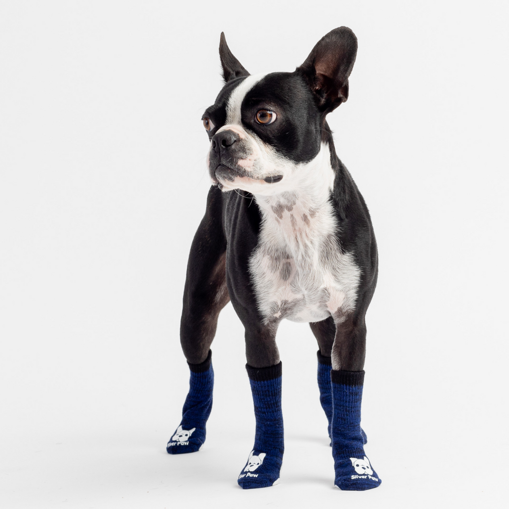 Compression Dog Socks  Blue Anti-Slip Support for Improved Circulation