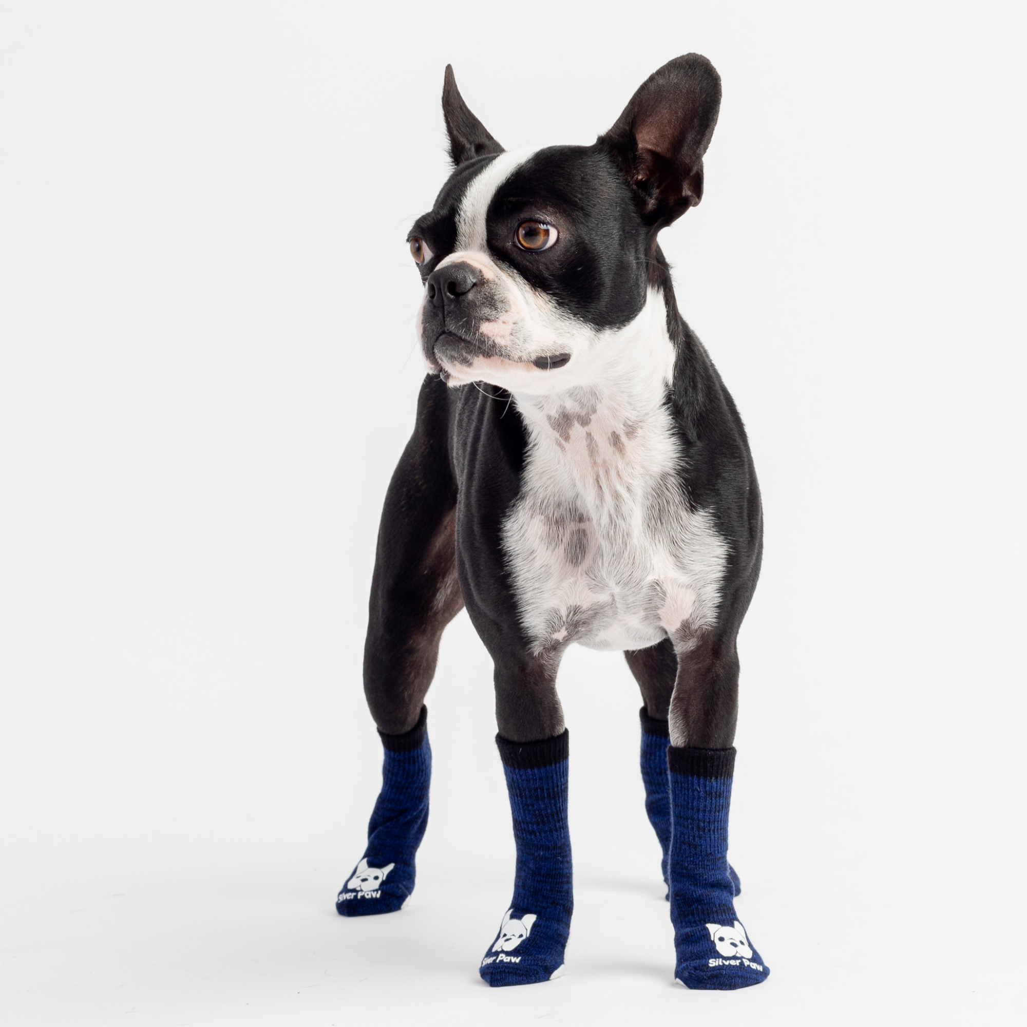 Compression Dog Socks  Blue Anti-Slip Support for Improved Circulation