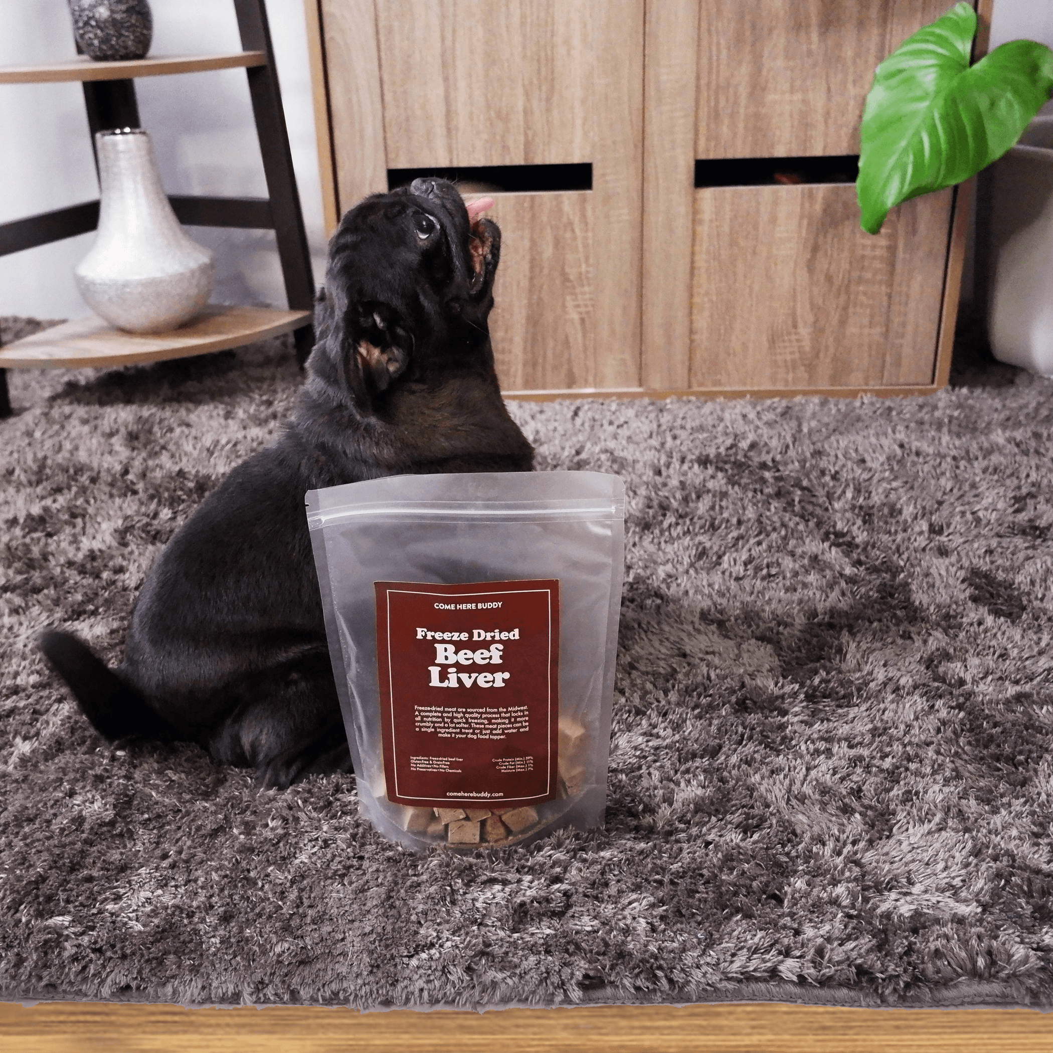 Premium Freeze-Dried Beef Liver Dog Treats - 4oz Natural Nutrition