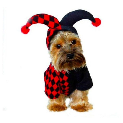 Funny Clown Pet Costume: The Ultimate Halloween Dress-Up For Your