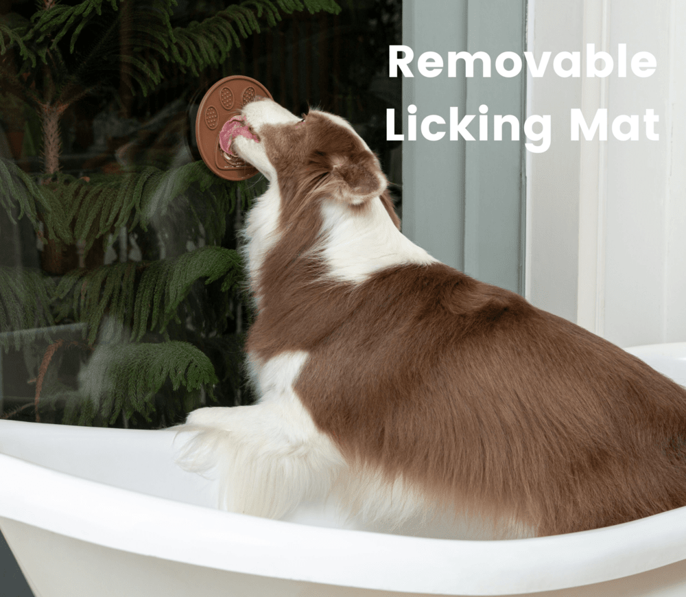 Injoya's "Lick Mat" for Fast Eaters