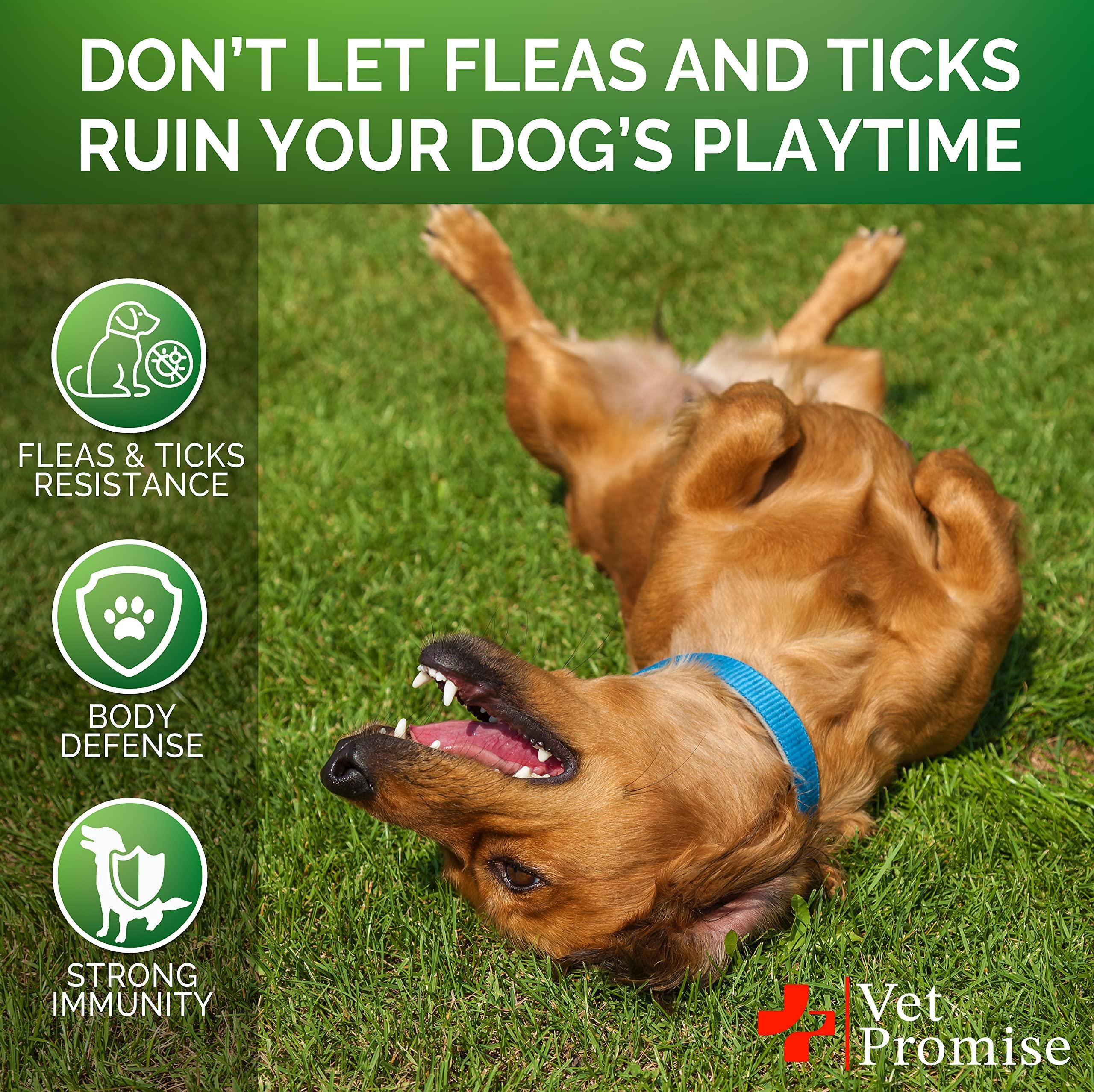 All Natural Dog Flea and Tick Prevention Chews