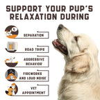 Kinpur Pet Care Calming Chews for Dogs with Hemp Oil   Aid During