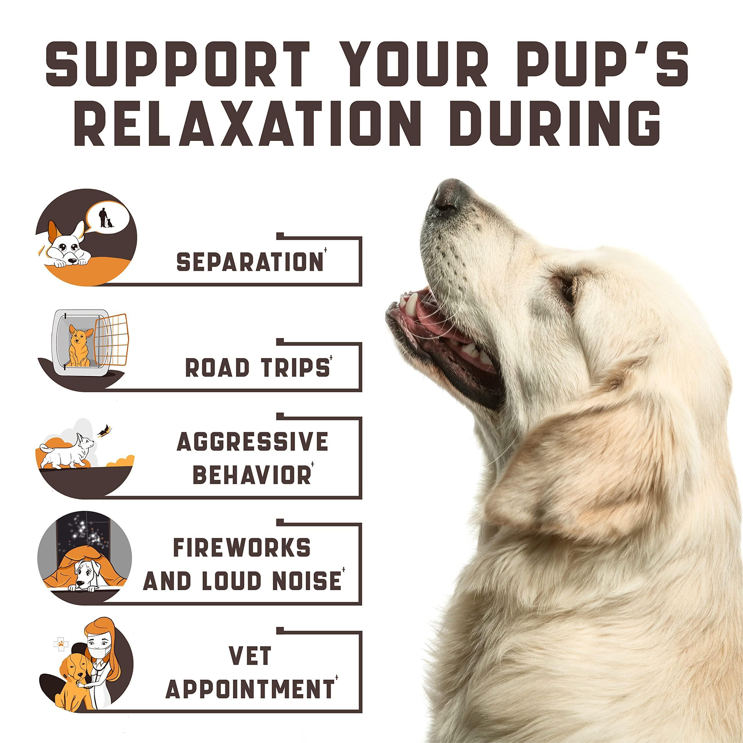 Kinpur Pet Care Calming Chews for Dogs with Hemp Oil   Aid During
