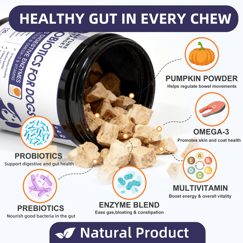 Dog Probiotics 6B CFUs 12 Strains with Pumpkin 250mg, Prebiotics & Digestive Enzymes, 120 Freeze-Dried Chews