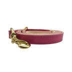 Plain Leather Dog Leashes