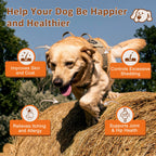 Dog Omega-3 Fish Oil Chews 320mg, EPA 63mg & DHA 84mg, Salmon Flavor, 120 Soft Chews