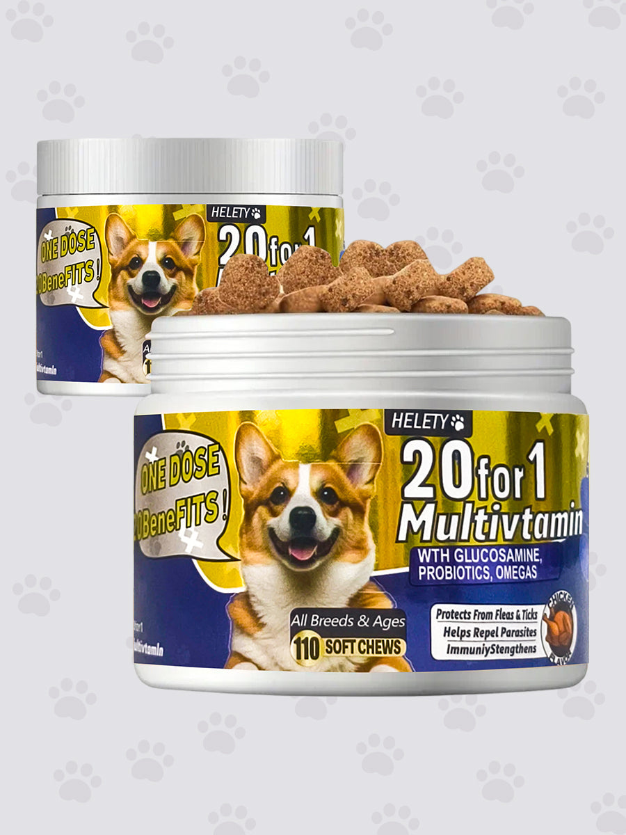 Helety 20 for 1 Dog Multivitamin with Box, Probiotics & Digestive Enzymes for Gut Health, Glucosamine & Chondroitin &Omega 3, Complete Supplement for Homemade Dog Food,Joint & Skin & Immune Support