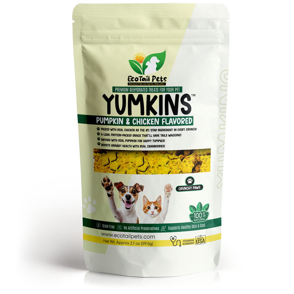 Yumkins™: Pumpkin & Chicken Flavored Paws (Dogs & Cats) – Small Size Single Pouch - 2.1oz