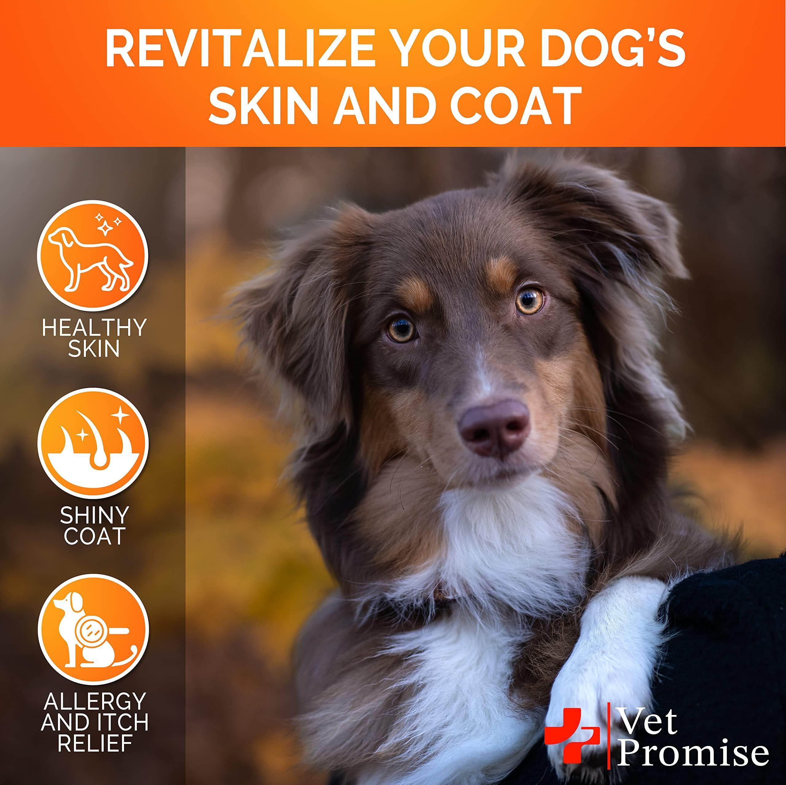 Dog Skin & Coat Supplement, Omega 3 and fish oil