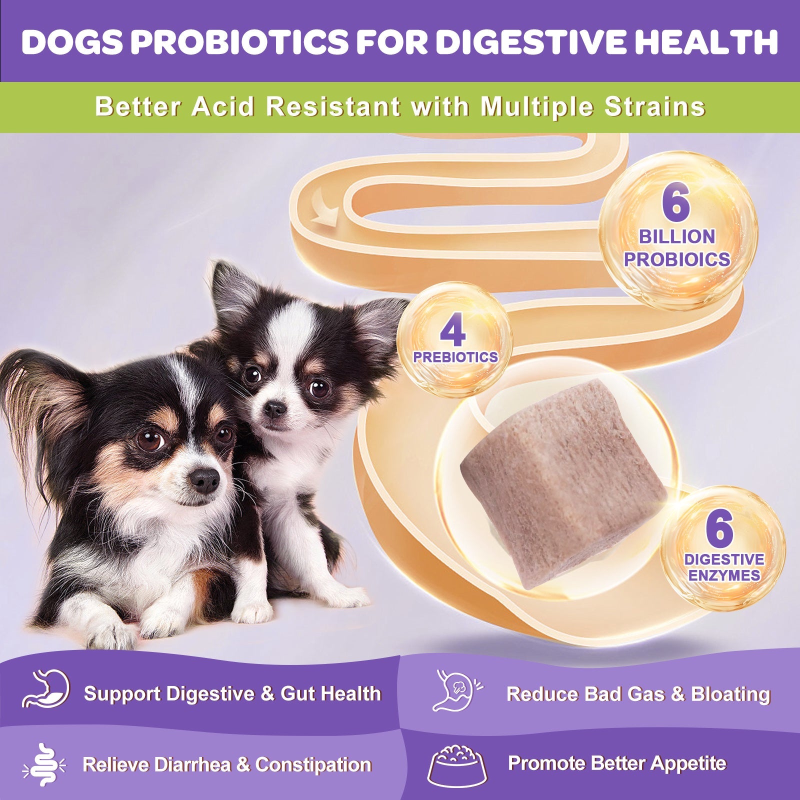 Dog & Cat Probiotic Chews 6B CFUs, 12 Strains, Omega-3 100mg, Duck Flavor, 120 Chews