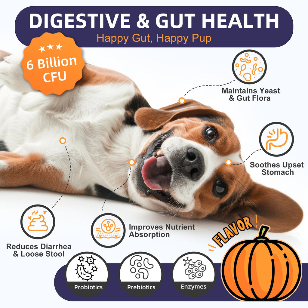 Dog Probiotics 6B CFUs 12 Strains with Pumpkin 250mg, Prebiotics & Digestive Enzymes, 120 Freeze-Dried Chews
