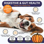 Dog Probiotics 6B CFUs 12 Strains with Pumpkin 250mg, Prebiotics & Digestive Enzymes, 120 Freeze-Dried Chews