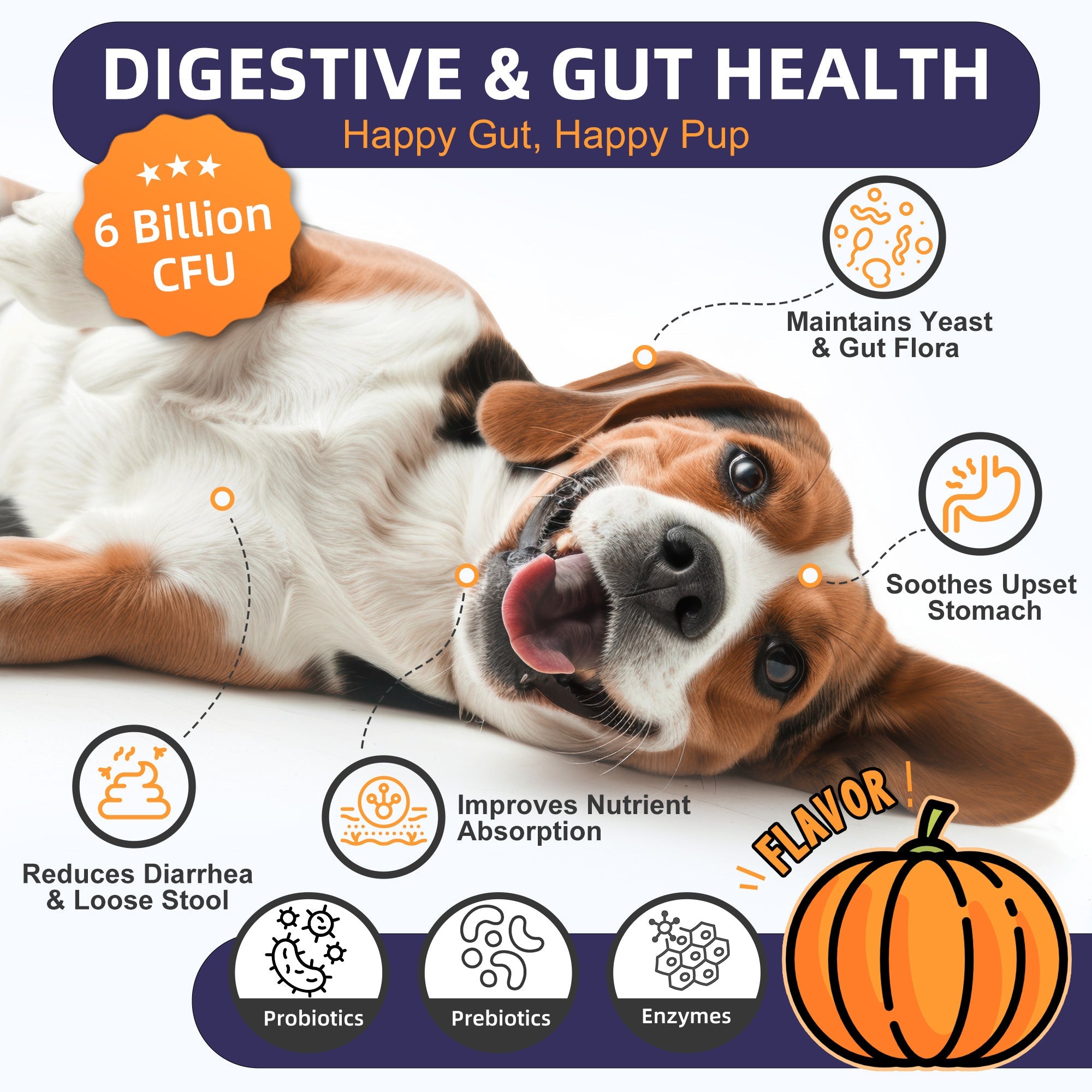 Dog Probiotics 6B CFUs 12 Strains with Pumpkin 250mg, Prebiotics & Digestive Enzymes, 120 Freeze-Dried Chews