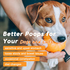 Dog Pumpkin Powder 4000mg with Apple Flesh 500mg & Digestive Enzymes, 60 Servings