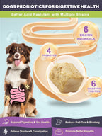 Dog & Cat Probiotics 6B CFUs 12 Strains with Prebiotic 300mg, Digestive Enzymes 200mg & Omega-3, Salmon Flavor, 120 Chews