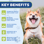 Dog & Cat Omega-3-6-9 565mg with EPA 160mg, DHA 100mg, Zinc, Biotin & Vitamin C+E, Salmon Flavor, 180 Chews