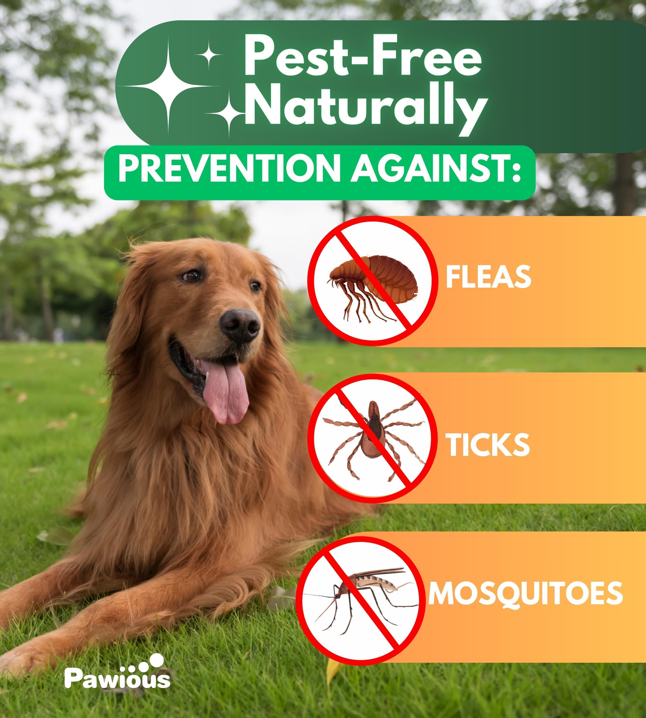 Natural Flea and Tick Prevention for Dogs Chewables