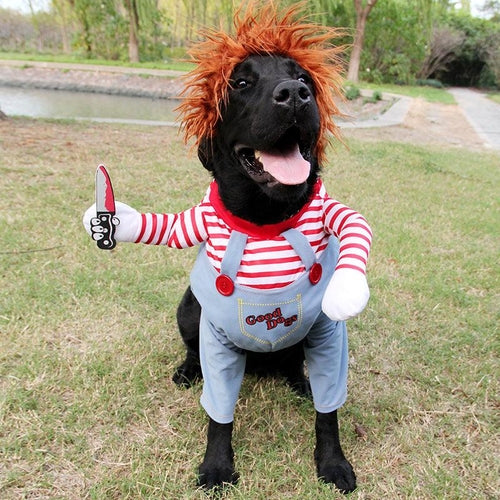 Halloween Pet Costume: The Ultimate Dog Cosplay Ensemble