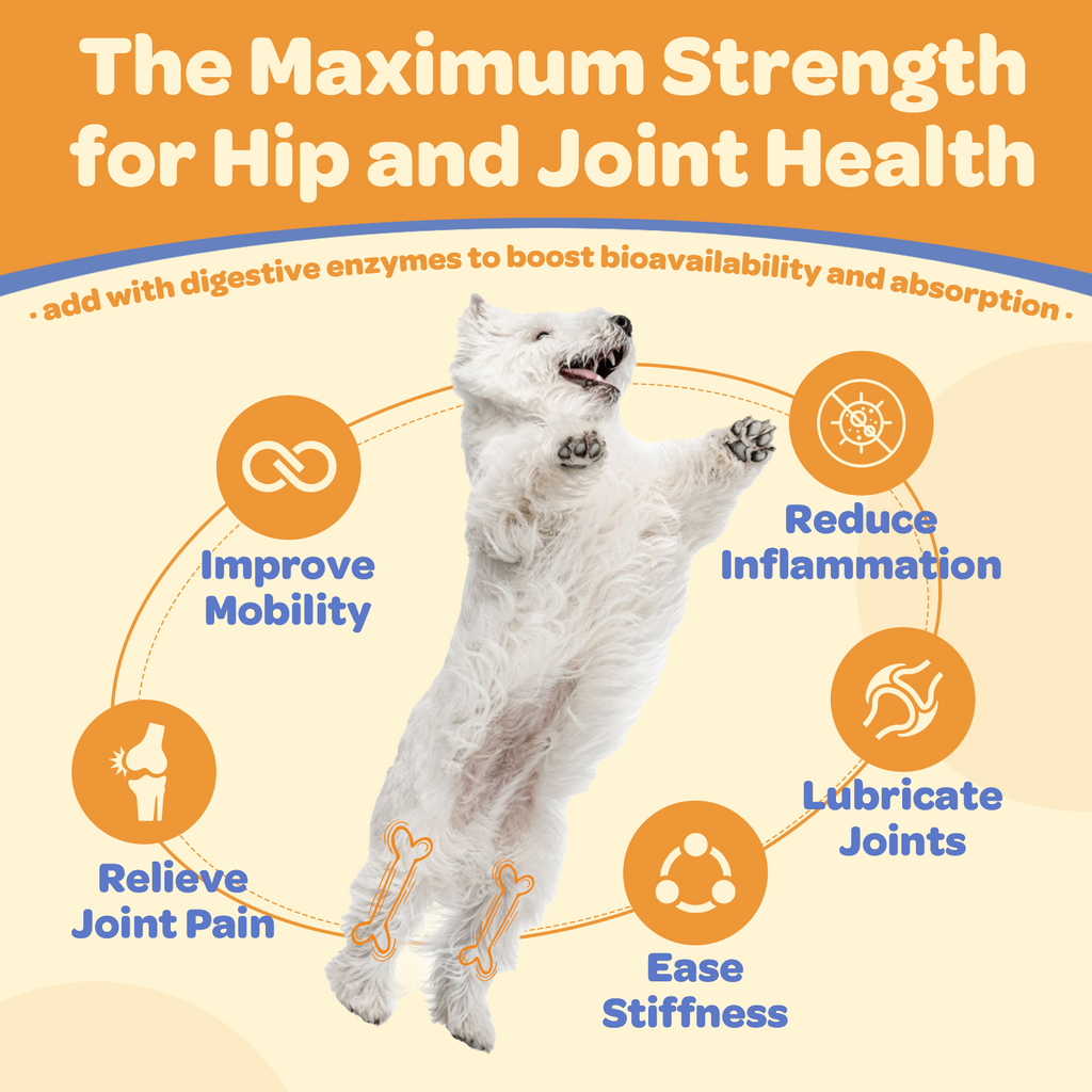 Dogs Glucosamine Chews with Chondroitin + MSM + Omega-3 for Joint Support, 180ct