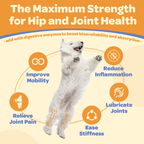 Dogs Glucosamine Chews with Chondroitin + MSM + Omega-3 for Joint Support, 180ct