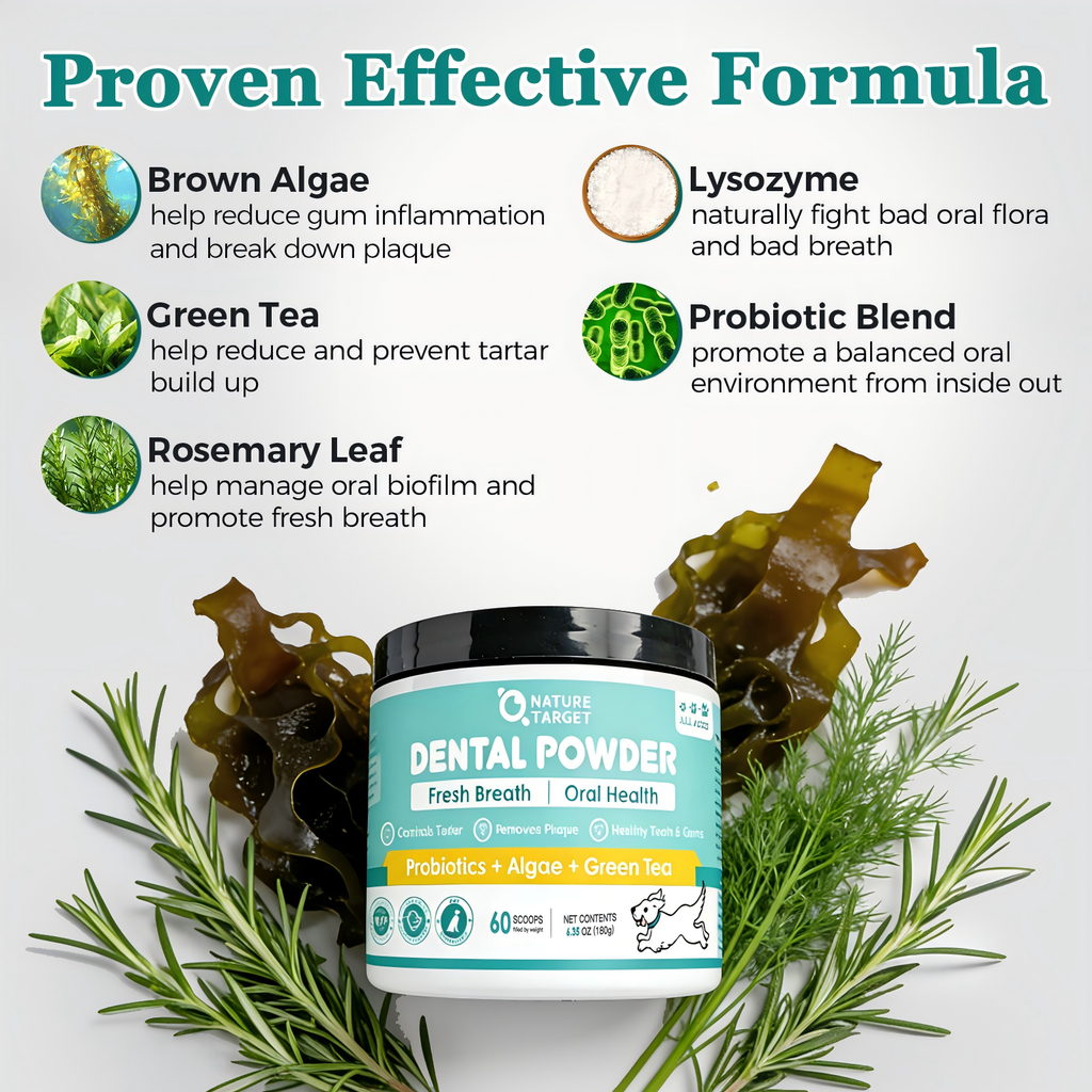 Dog Dental Powder with Probiotics, Brown Algae & Green Tea, 180g / 60 Scoops