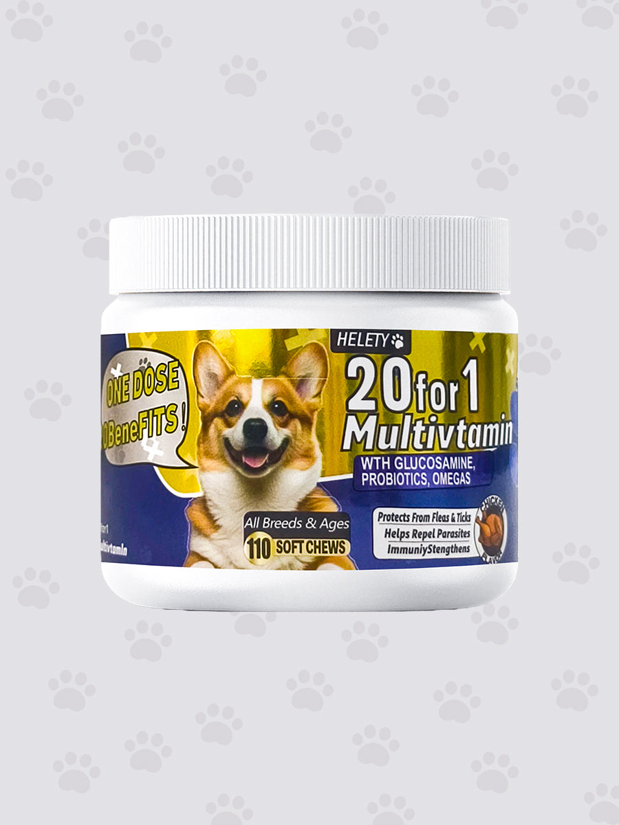 Helety 20 for 1 Dog Multivitamin with Box, Probiotics & Digestive Enzymes for Gut Health, Glucosamine & Chondroitin &Omega 3, Complete Supplement for Homemade Dog Food,Joint & Skin & Immune Support