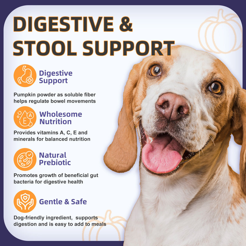 Dog Probiotics 6B CFUs 12 Strains with Pumpkin 250mg, Prebiotics & Digestive Enzymes, 120 Freeze-Dried Chews
