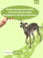 HELETY Dog Meat Treats, Three Flavor Meat Skewers, Chicken Beef Duck Flavor, Natural Chewy Rewards for Dogs