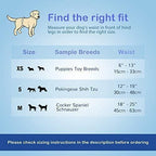 Disposable Male Wrap Dog Diapers Simple and Convenient, Small 60 Count