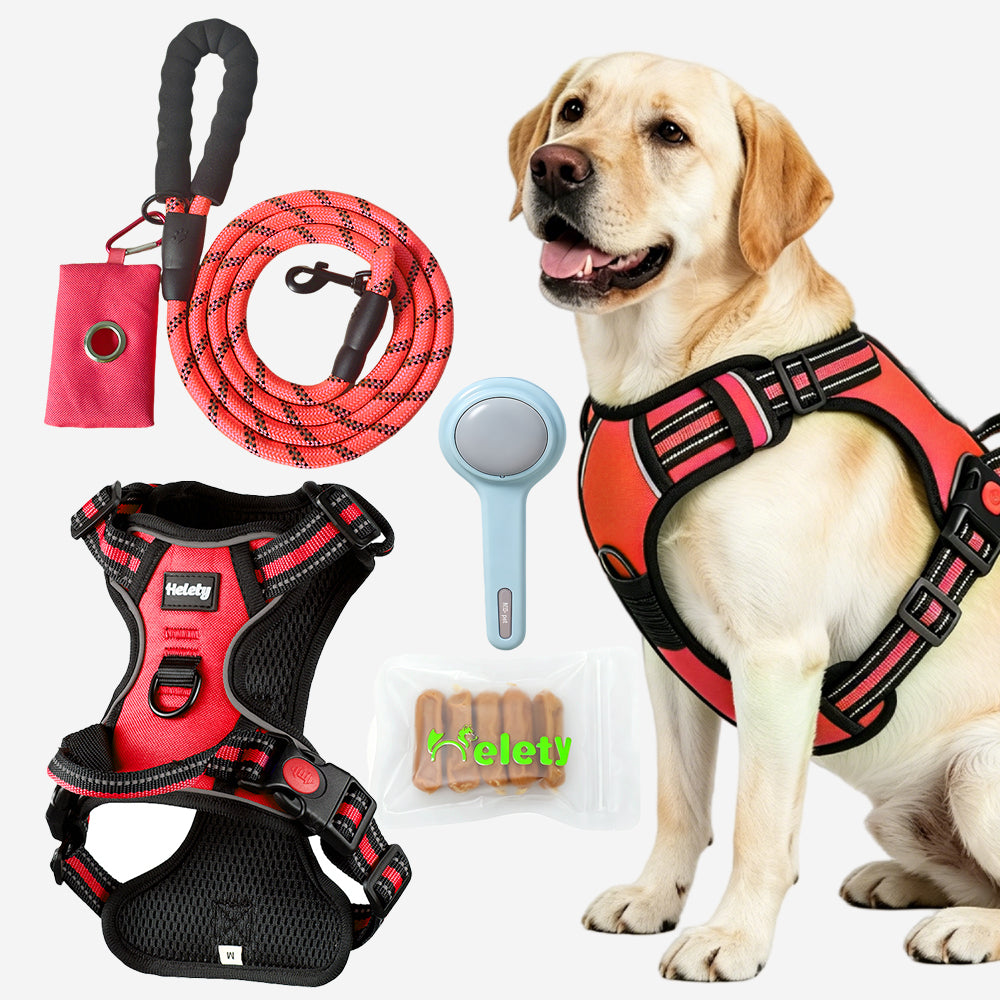 HELETY Dog Walking Gift Set – No Pull Harness + Leash + Grooming Brush + Dog Treats