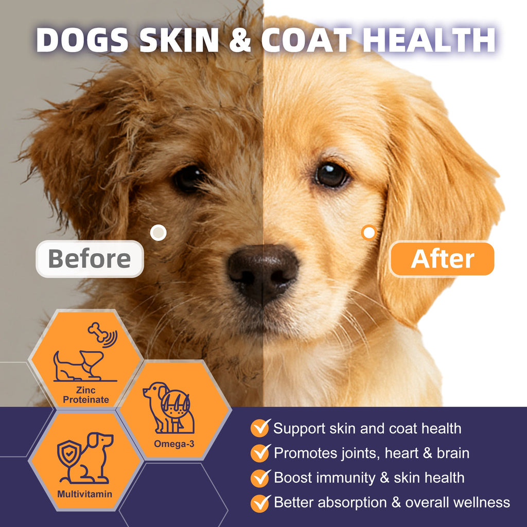 Dog Probiotics 6B CFUs 12 Strains with Pumpkin 250mg, Prebiotics & Digestive Enzymes, 120 Freeze-Dried Chews
