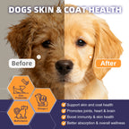 Dog Probiotics 6B CFUs 12 Strains with Pumpkin 250mg, Prebiotics & Digestive Enzymes, 120 Freeze-Dried Chews